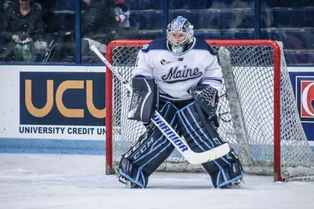 Jillian Flynn sets in the net