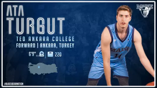 Ata Turgut