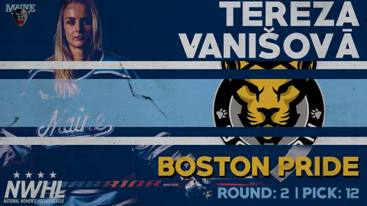 vanisova-graphic
