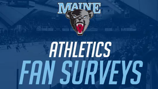 Fan-Survey