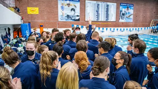 Swim Preview 10/14