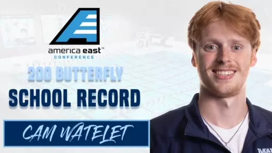 Watelet