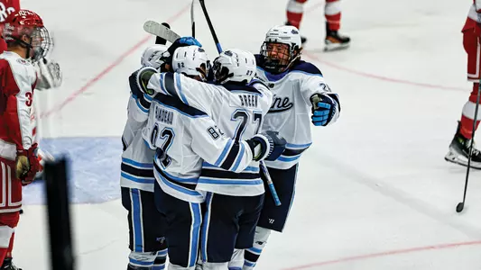 The Black Bears celebrate a goal against RPI.