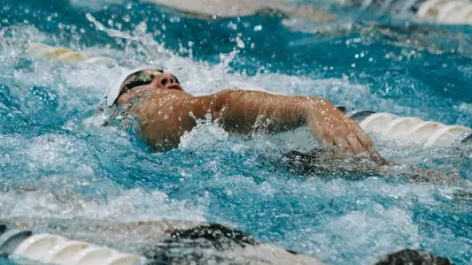 backstroke-2023