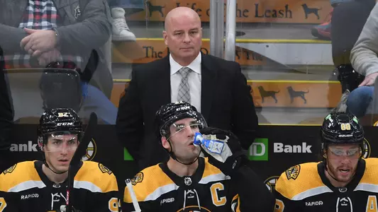 monty-bruins-bench