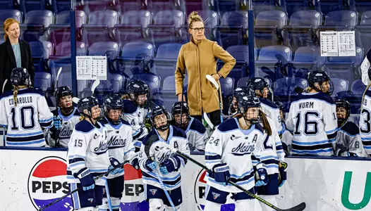 WIH bench - Molly Engstrom