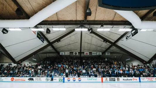 Crowd at ALfond Arena