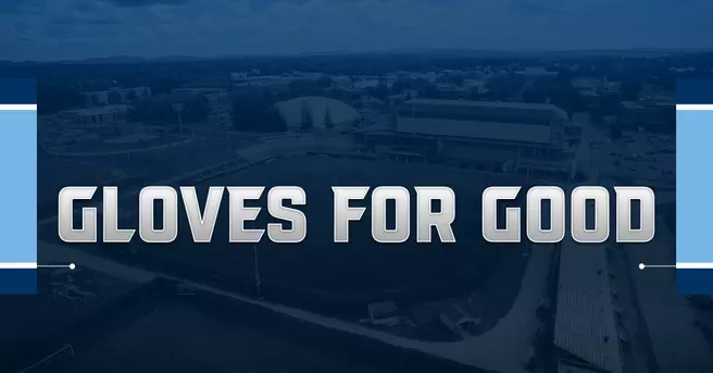 Goody's Gloves