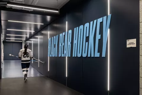 Hype Tunnel