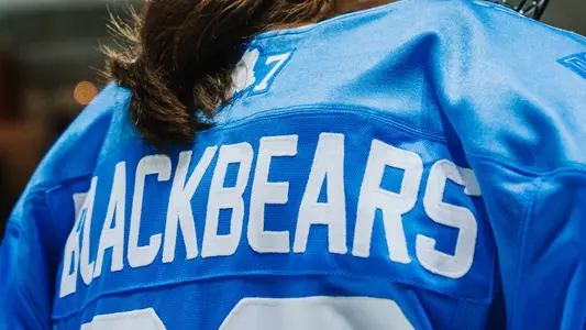WIH alternate jerseys