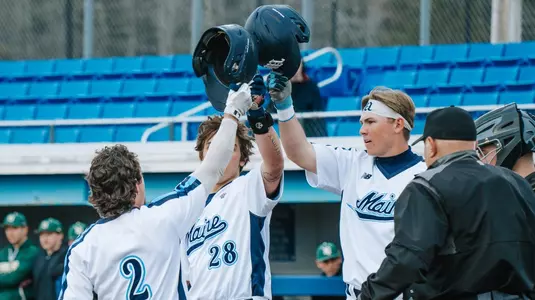 Baseball Celebration