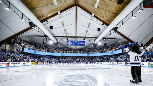 Wide shot of Alfond Arena.