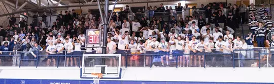 mbb-crowd-quarterfinal