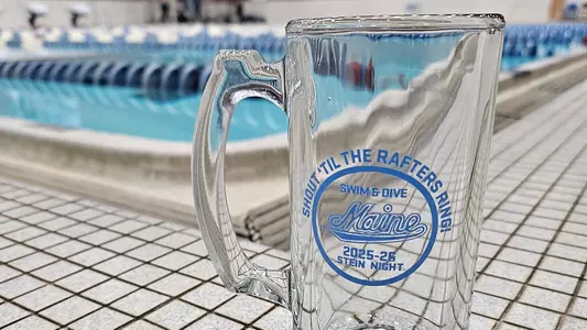 stein-games-swim-dive