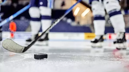 A puck next to a stick at Alfond Arena.