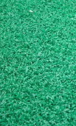 UMass will finally get a chance to play on its new turf Saturday at 3:00 against UConn.