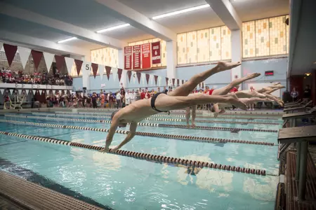 Generic UMass Men's Swimming & Diving