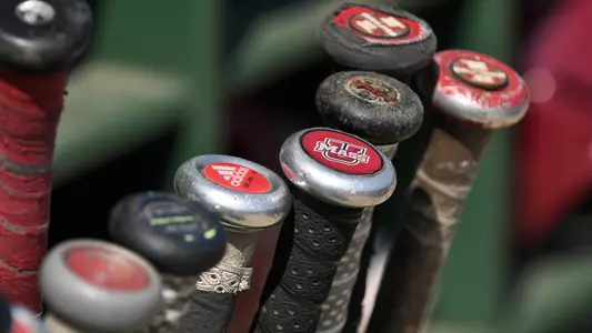 Baseball Bat Knobs