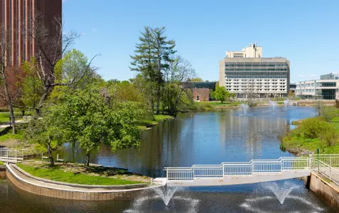 Campus spring