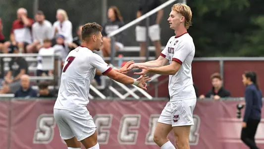 Zielonka-Hughes 8-24