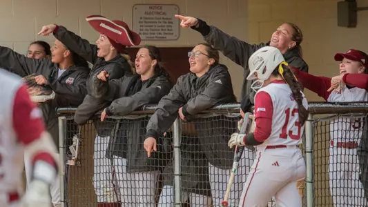 SB24 - Bench Celebration