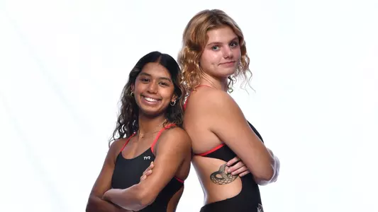 SD_Howes_Sinha_Media