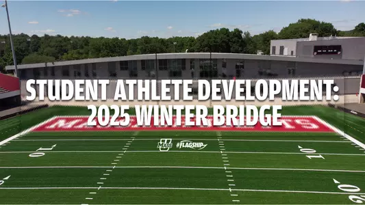 ATH25 - Winter Bridge Header