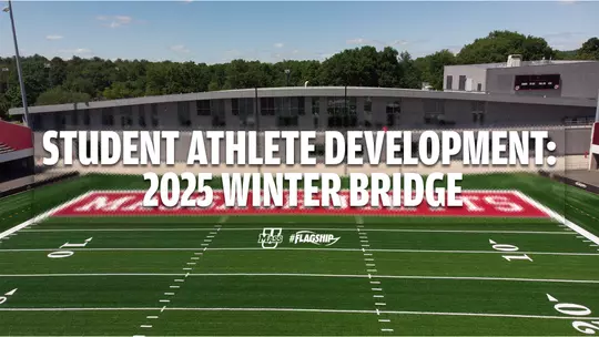 ATH25 - Winter Bridge Header