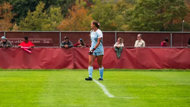 WSOC_Nisenfeld_Toledo