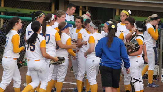 ?Roos Defeat Butler 1-0 in Extra Innings to Close Out the Evansville Tournament