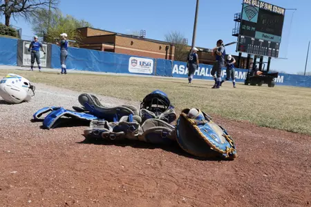 Roos Introducing Roos- Lynsey Conner