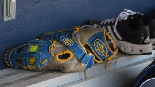 Roos Introducing Roos- Faith Willis