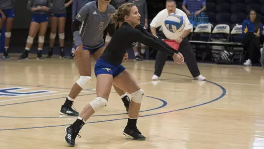 Roos Succumb To Aggies In Three