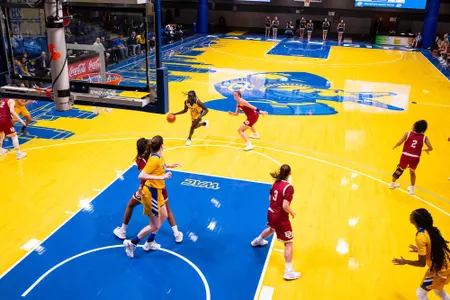 Court WBB