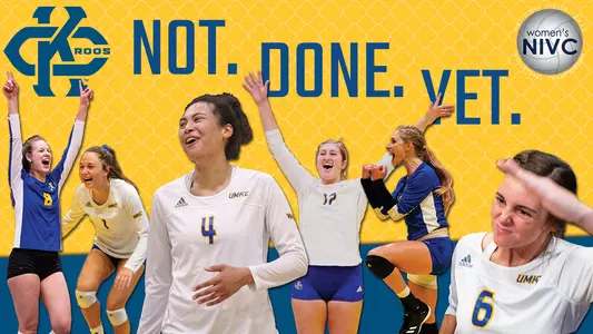Volleyball NIVC Graphic
