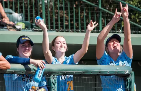 Dugout Celebration