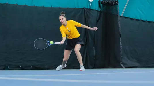 Timofeyeva vs. Bradley