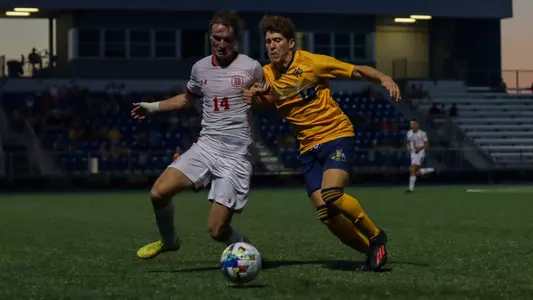 Anderson vs. Bradley