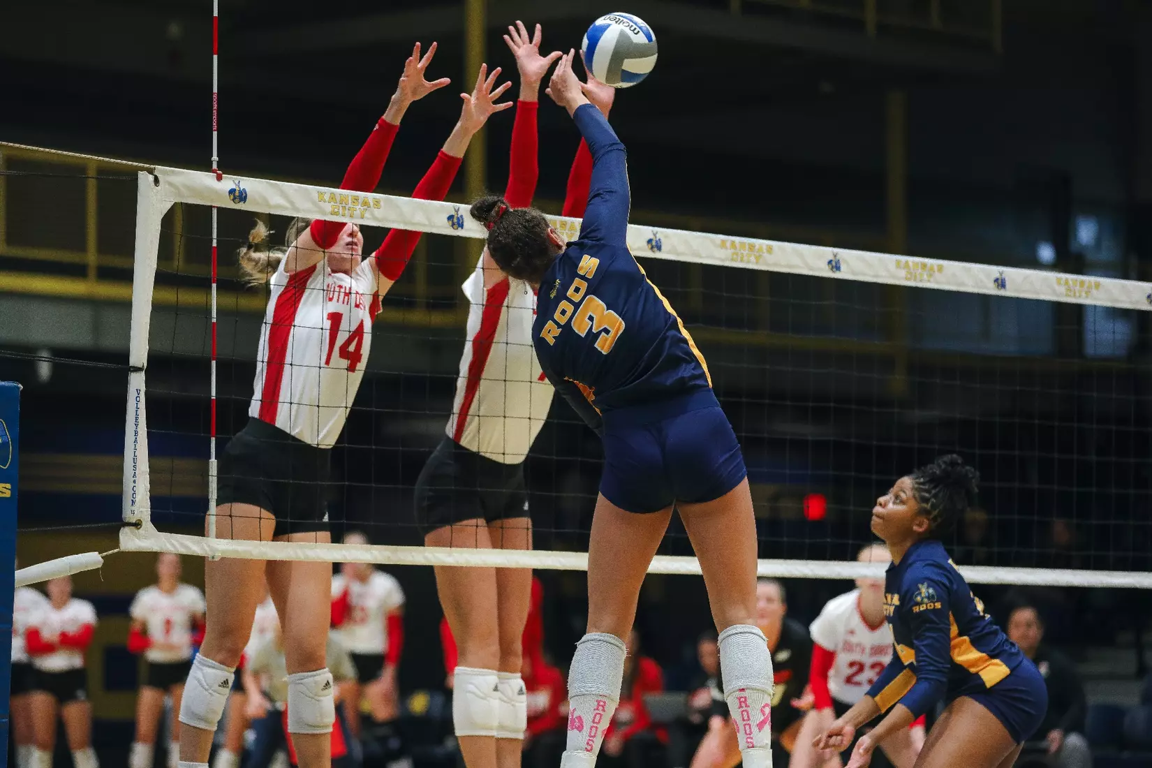 Kansas City Volleyball battled tooth-and-nail with South Dakota on Oct. 14, 2023, prevailing for a 3-2 victory.
