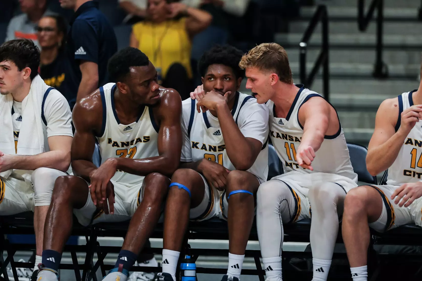 Kansas City Men's Basketball opened the 2023-24 season with a 79-48 home victory over Avila on Nov. 6, 2023.