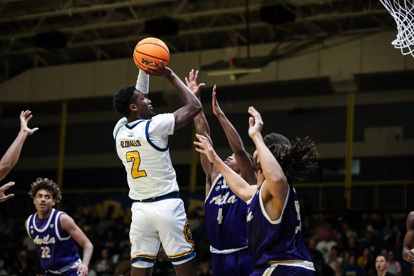 Kansas City Men's Basketball opened the 2023-24 season with a 79-48 home victory over Avila on Nov. 6, 2023.
