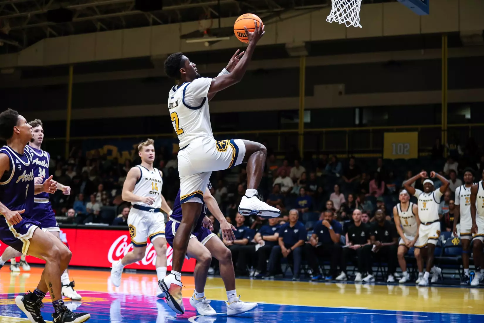 Kansas City Men's Basketball opened the 2023-24 season with a 79-48 home victory over Avila on Nov. 6, 2023.