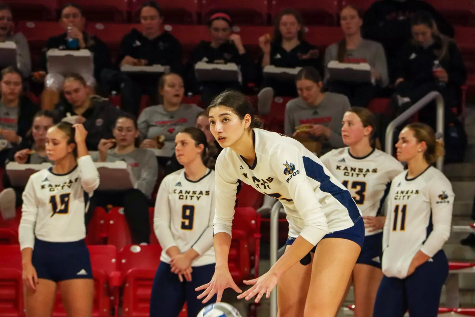 Kansas City Volleyball took down #5 North Dakota State and qualified to the second conference title match in program history on Nov. 20, 2023.