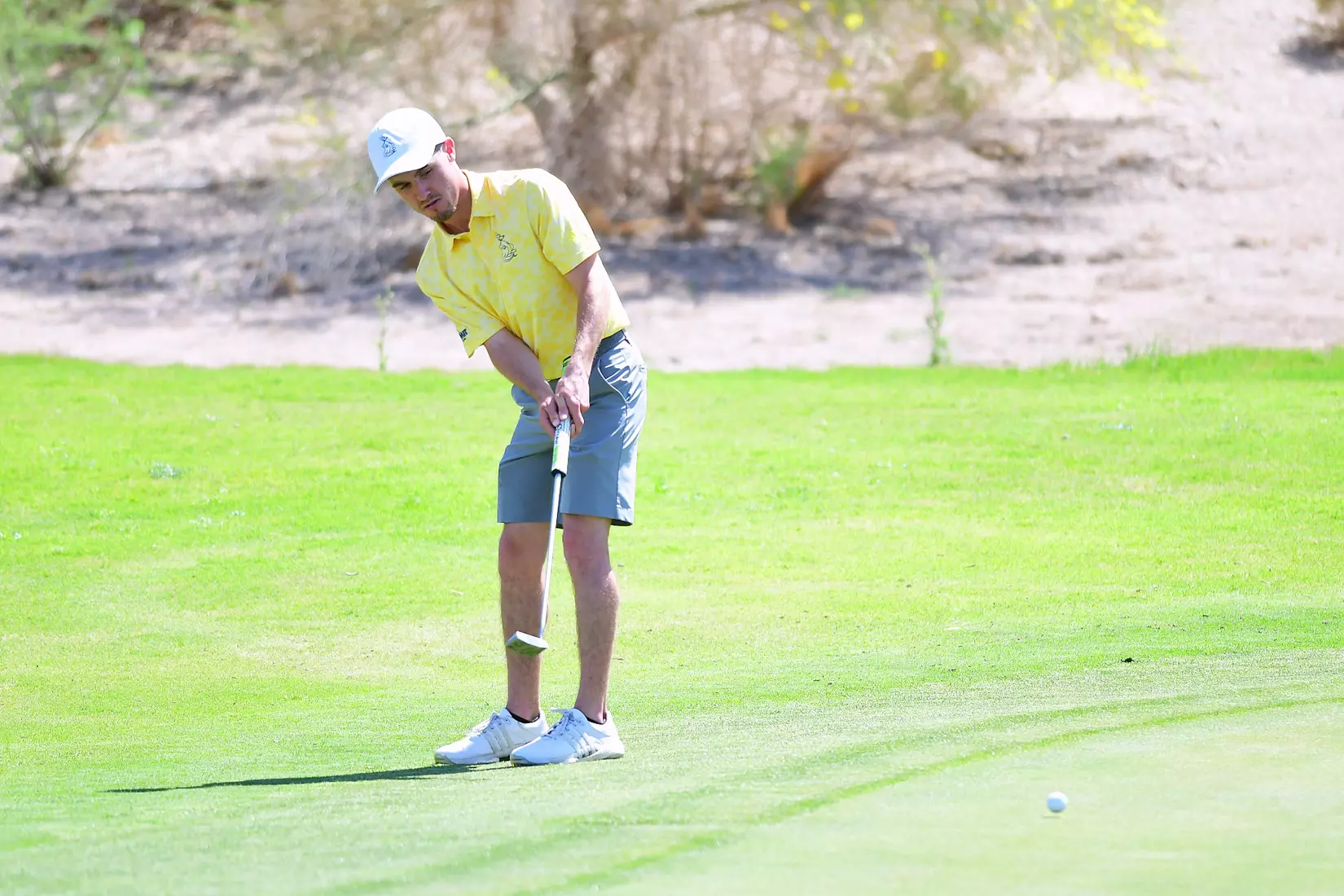 Kansas City Men's Golf participates in the NCAA Las Vegas Regional. The Roos finished 12th out of 14 teams with a team score of 18-under.
