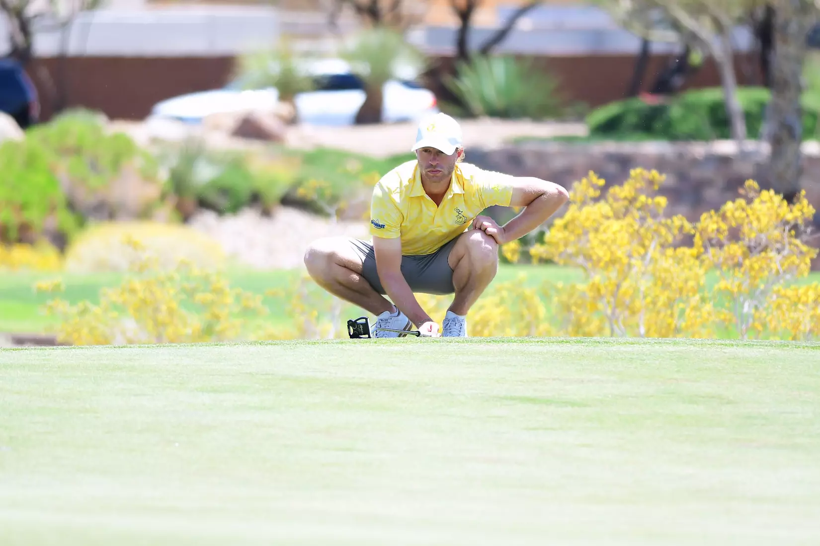 Kansas City Men's Golf participates in the NCAA Las Vegas Regional. The Roos finished 12th out of 14 teams with a team score of 18-under.