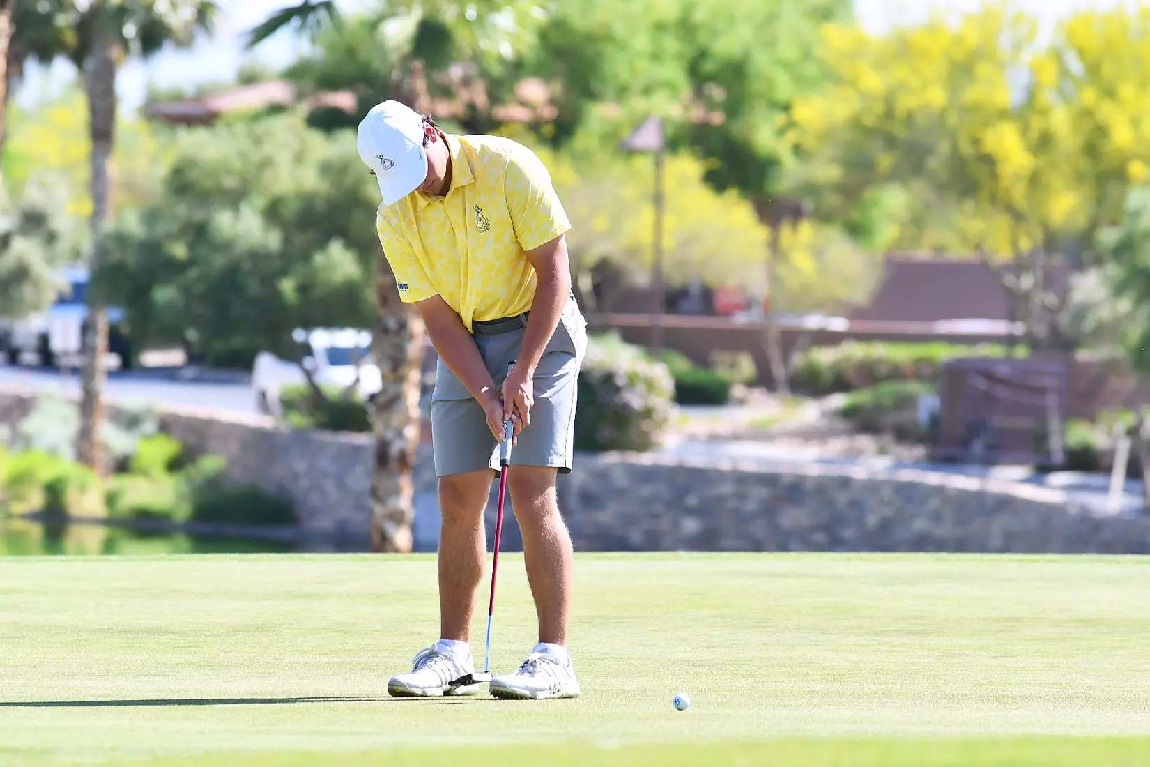 Kansas City Men's Golf participates in the NCAA Las Vegas Regional. The Roos finished 12th out of 14 teams with a team score of 18-under.