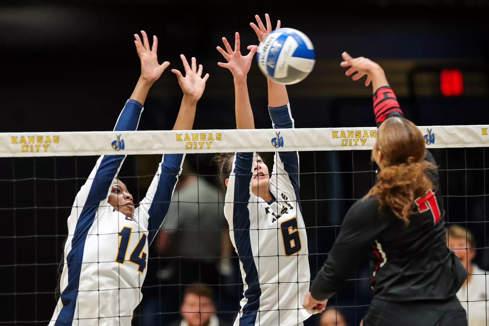Kansas City Volleyball pulled out a 3-1 win over Austin Peay in Friday's night cap of the KC Roos Klassic on Sep. 15, 2023.