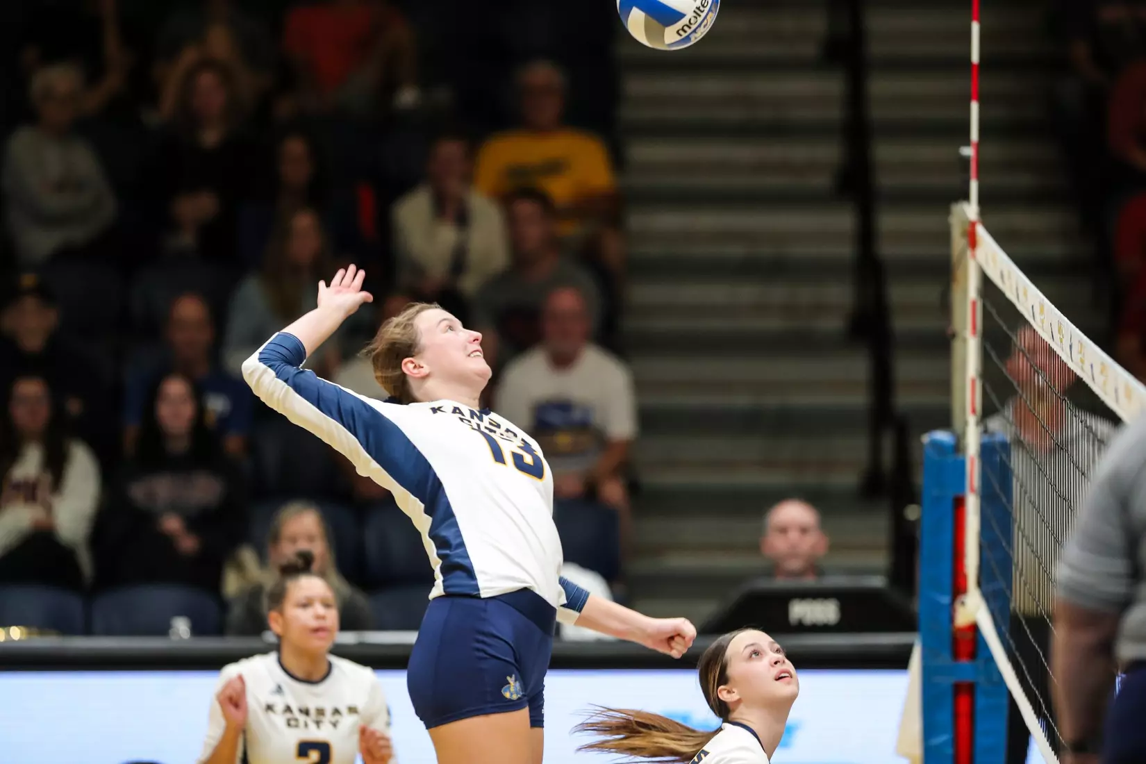 Kansas City Volleyball pulled out a 3-1 win over Austin Peay in Friday's night cap of the KC Roos Klassic on Sep. 15, 2023.