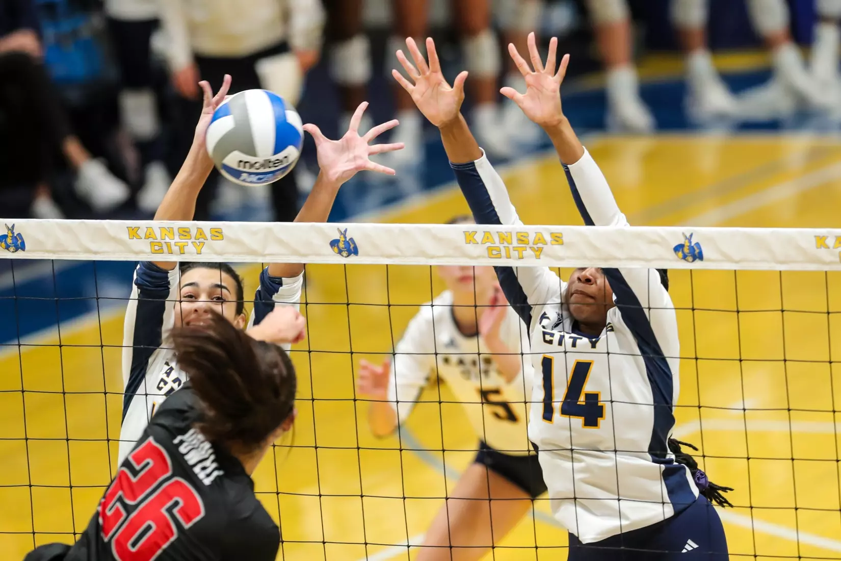 Kansas City Volleyball pulled out a 3-1 win over Austin Peay in Friday's night cap of the KC Roos Klassic on Sep. 15, 2023.