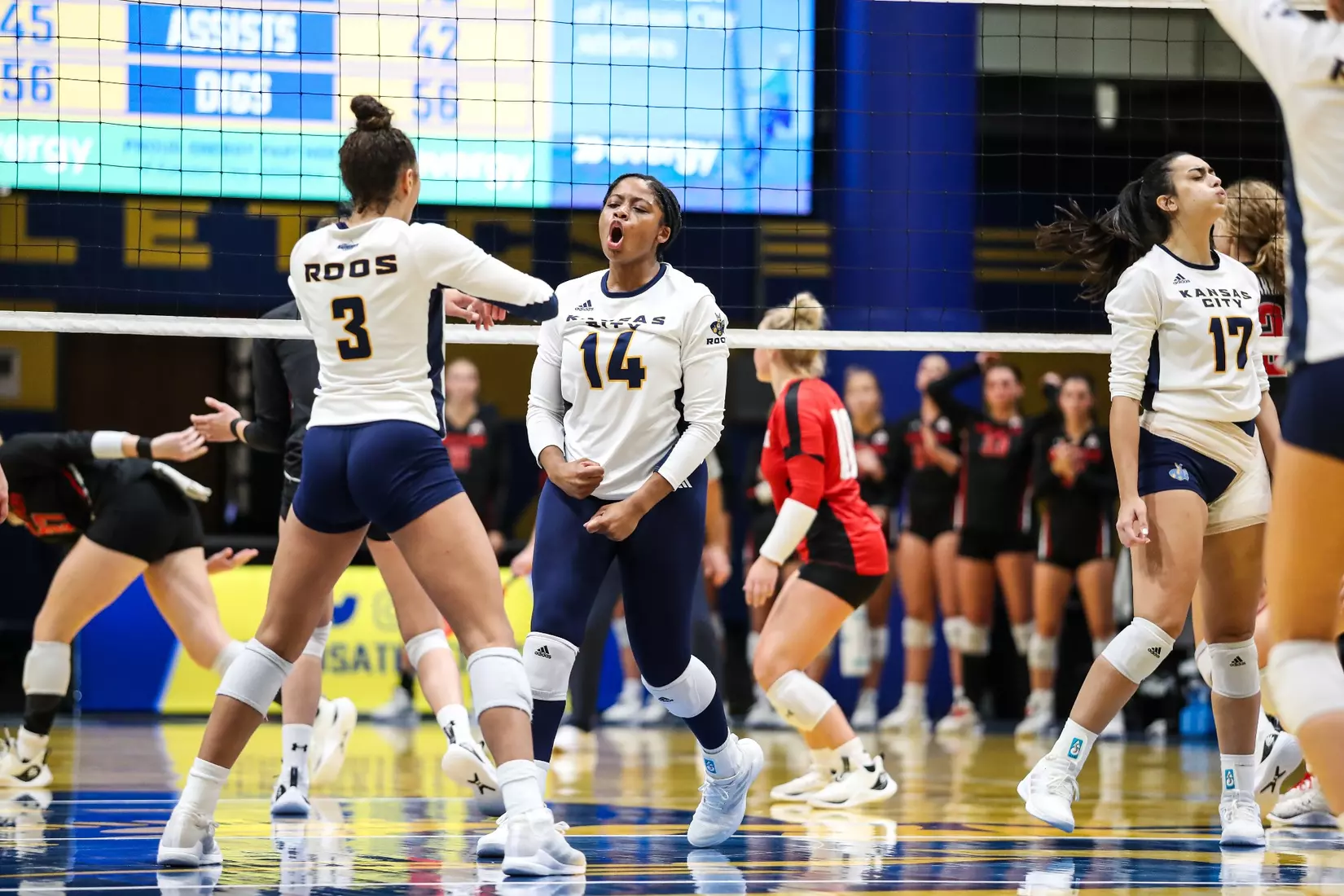 Kansas City Volleyball pulled out a 3-1 win over Austin Peay in Friday's night cap of the KC Roos Klassic on Sep. 15, 2023.